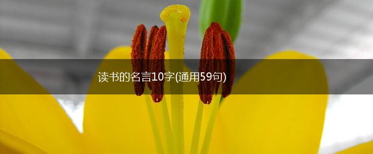 读书的名言10字(通用59句),第1张