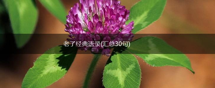 老了经典语录(汇总30句),第1张