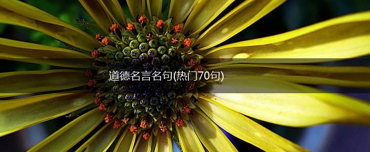 道德名言名句(热门70句),第1张 道德名言名句(热门70句),第1张