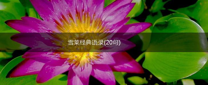 雪莱经典语录(20句),第1张