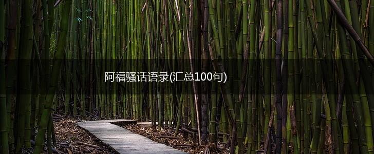 阿福骚话语录(汇总100句),第1张
