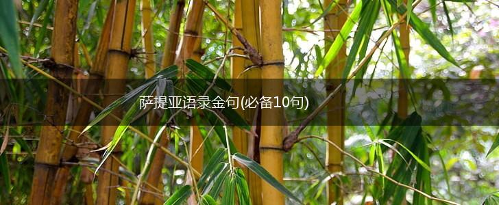 萨提亚语录金句(必备10句),第1张