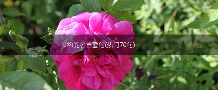 节约的名言警句(热门70句),第1张