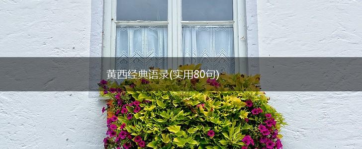 黄西经典语录(实用80句),第1张