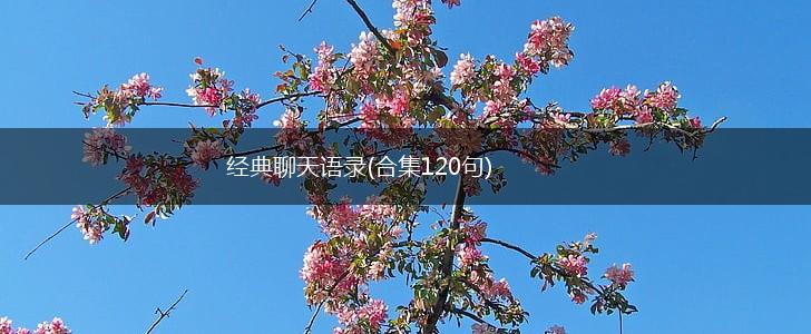 经典聊天语录(合集120句),第1张