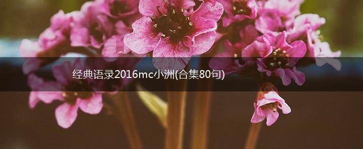 经典语录2016mc小洲(合集80句),第1张