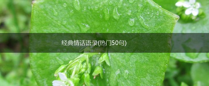 经典情话语录(热门50句),第1张
