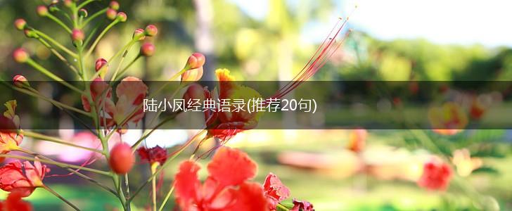 陆小凤经典语录(推荐20句),第1张