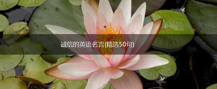 诚信的英语名言(精选50句),第1张 诚信的英语名言(精选50句),第1张