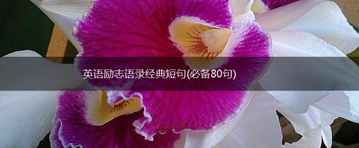 英语励志语录经典短句(必备80句),第1张