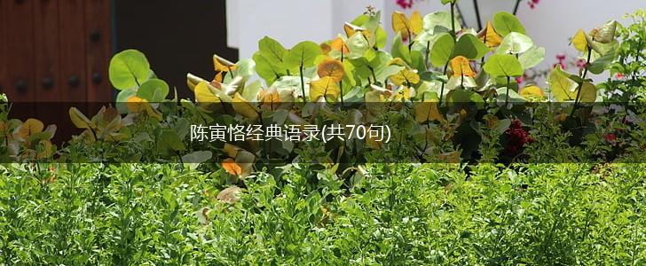陈寅恪经典语录(共70句),第1张