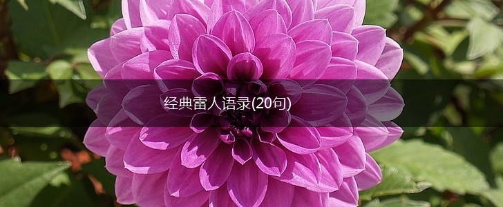 经典雷人语录(20句),第1张