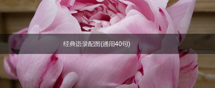 经典语录配图(通用40句),第1张
