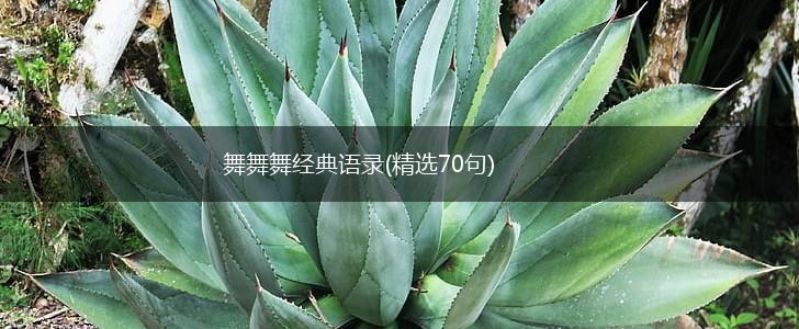 舞舞舞经典语录(精选70句),第1张