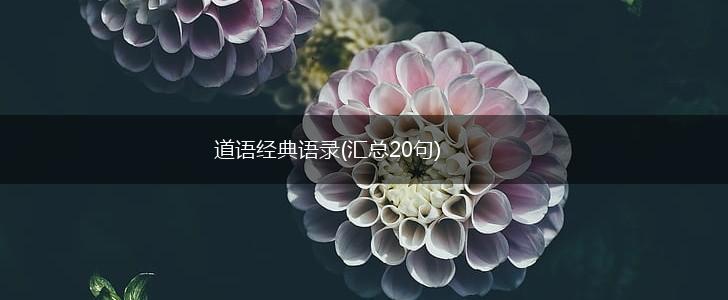 道语经典语录(汇总20句),第1张
