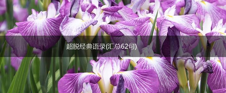超脱经典语录(汇总62句),第1张