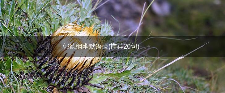 郭德纲幽默语录(推荐20句),第1张