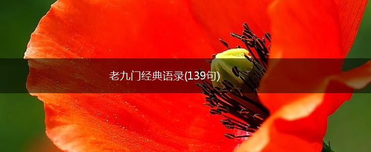 老九门经典语录(139句),第1张