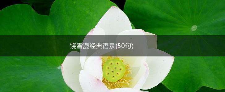 饶雪漫经典语录(50句),第1张