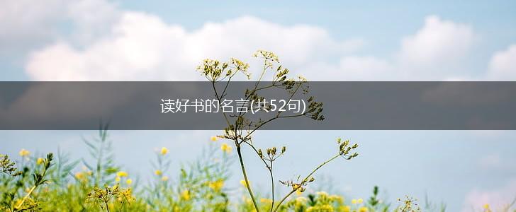 读好书的名言(共52句),第1张 读好书的名言(共52句),第1张