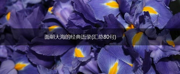 面朝大海的经典语录(汇总80句),第1张