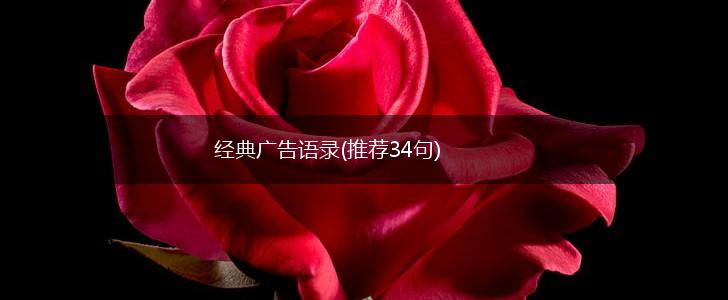 经典广告语录(推荐34句),第1张