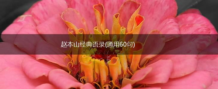 赵本山经典语录(通用60句),第1张