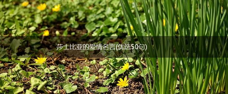 莎士比亚的爱情名言(优选50句),第1张