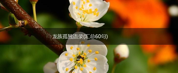 龙族孤独语录(汇总60句),第1张
