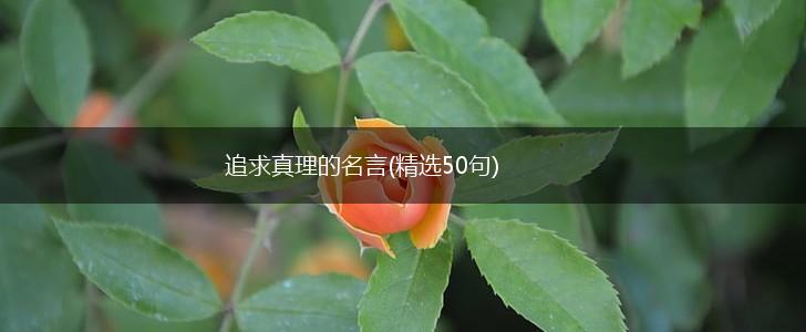 追求真理的名言(精选50句),第1张