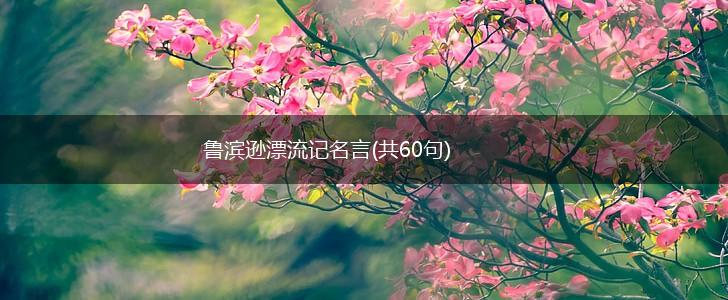 鲁滨逊漂流记名言(共60句),第1张