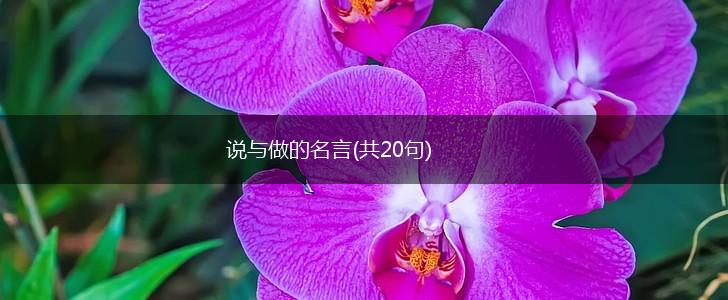 说与做的名言(共20句),第1张