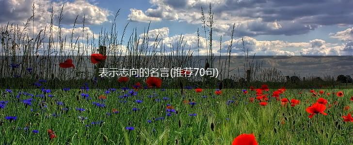 表示志向的名言(推荐70句),第1张