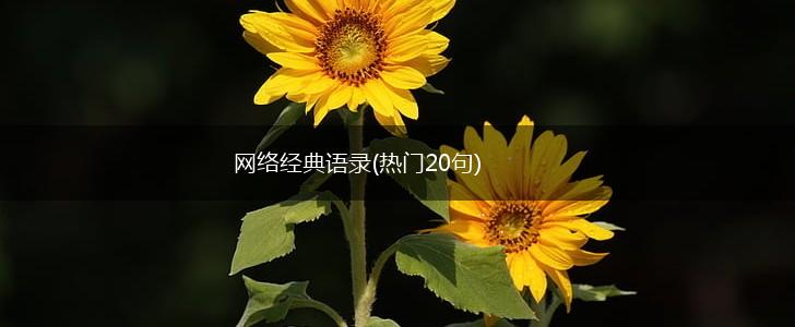 网络经典语录(热门20句),第1张