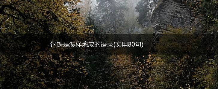 钢铁是怎样炼成的语录(实用80句),第1张