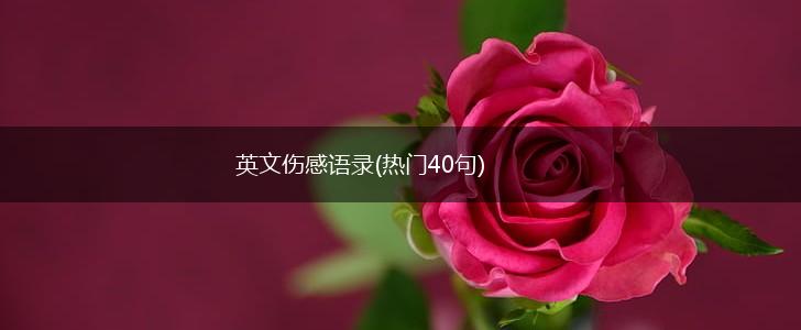英文伤感语录(热门40句),第1张