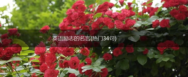 英语励志的名言(热门34句),第1张 英语励志的名言(热门34句),第1张