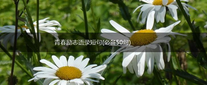 青春励志语录短句(必备50句),第1张