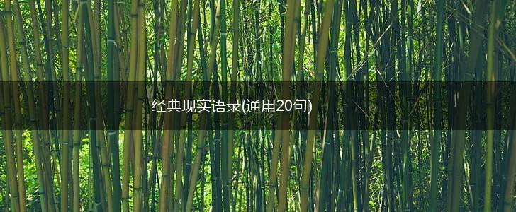 经典现实语录(通用20句),第1张