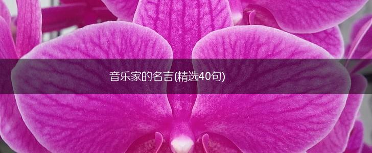 音乐家的名言(精选40句),第1张