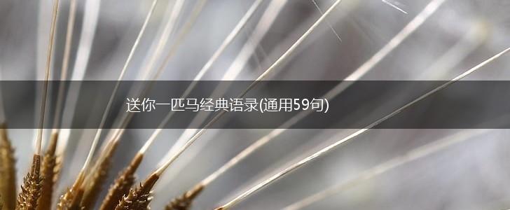 送你一匹马经典语录(通用59句),第1张