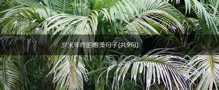 岁末年终的唯美句子(共9句),第1张