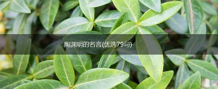 陶渊明的名言(优选79句),第1张