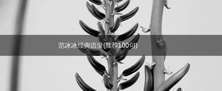范冰冰经典语录(推荐100句),第1张