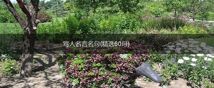 骂人名言名句(精选60句),第1张