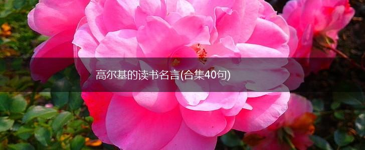 高尔基的读书名言(合集40句),第1张