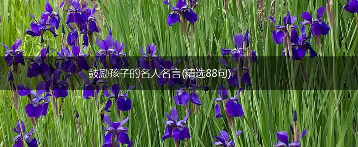 鼓励孩子的名人名言(精选88句),第1张