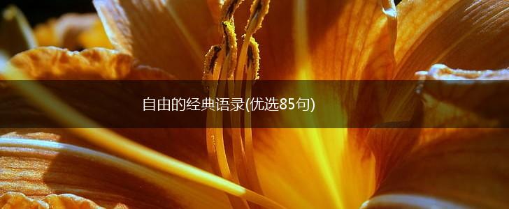 自由的经典语录(优选85句),第1张