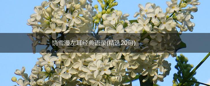 饶雪漫左耳经典语录(精选20句),第1张