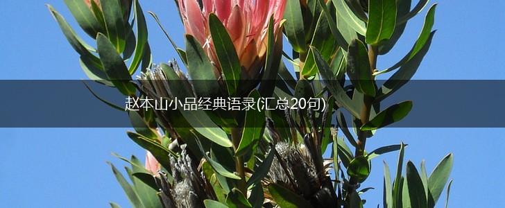 赵本山小品经典语录(汇总20句),第1张